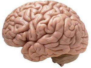 Beyin Kanaması Nedir ?