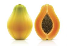 Papaya nedir ?