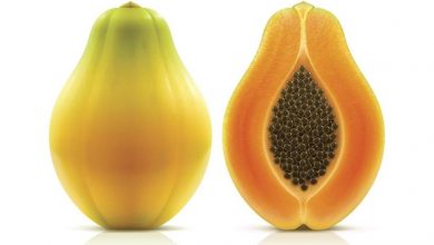 Papaya nedir ?