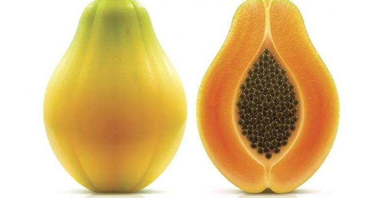 Papaya nedir ?