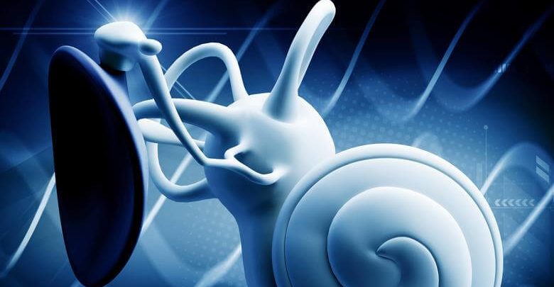 İç Kulak İltihabı Nedir