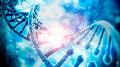 Genetik Tahlil Nedir