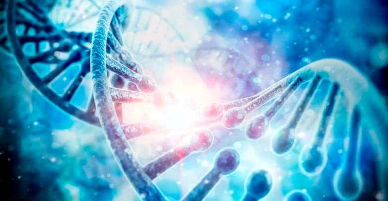 Genetik Tahlil Nedir