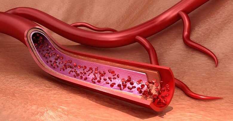 Hematoloji Tahlilleri