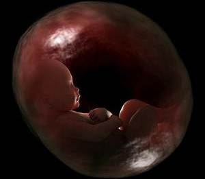 Düşük Yaşanma Sıklığı Nedir