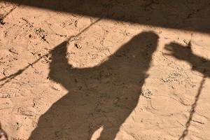 Pedofil Bireyler Nasıl Kategorize Edilir