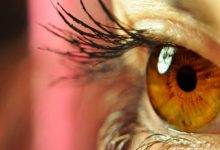 Retina Yırtığı Nedir
