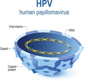 Genital Siğil Nasıl Tedavi Edilir