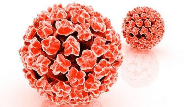 Genital Siğil Nedir