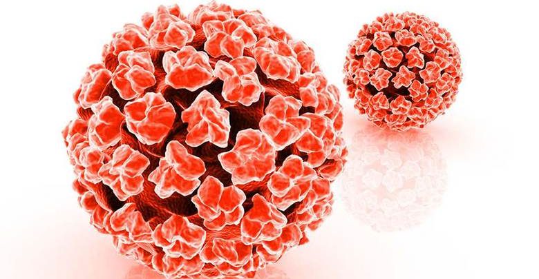 Genital Siğil Nedir