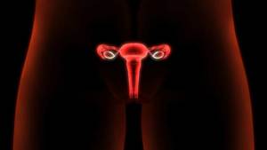 Kadınlarda Yumurtalıklara (Yumurtlamaya) Ait Kısırlık Nedenleri