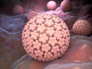 HPV Virüsü Nedir