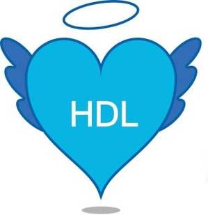 HDL Kolesterol Nedir