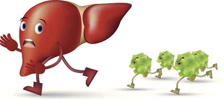 Hepatit B nedir