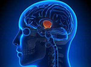 Küme baş ağrısına ne yol açar