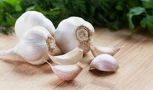 metal zehirlenmesi bitkisel tedavi - sarımsak