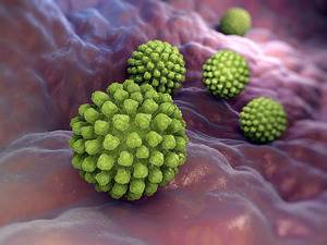 gastroenterit virus