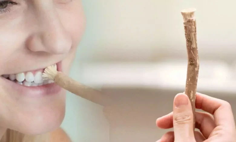 Misvak nasıl kullanılır, faydaları nedir?