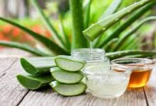 ALOE VERA NEDİR, NE İŞE YARAR?