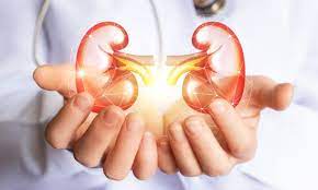 Böbrek Nakli Ameliyatı Nedir?