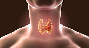 Haşimato Hastalığı (Hashimato) Nedir?